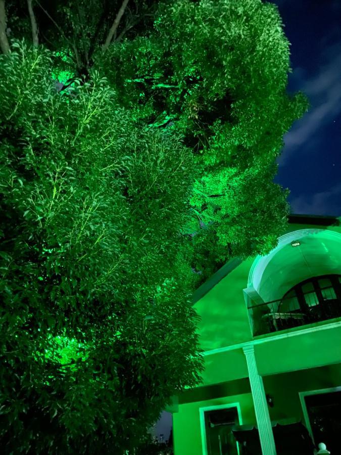 Apartment Green House 马钦加里 外观 照片
