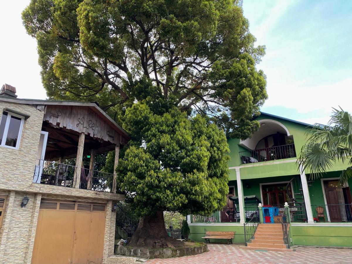 Apartment Green House 马钦加里 外观 照片